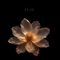 BlissBlossom